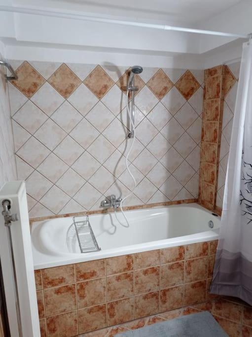 Appartamento Trikala Alex House Esterno foto