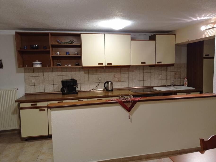 Appartamento Trikala Alex House Esterno foto