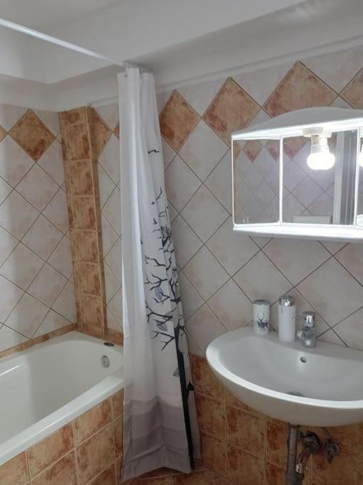 Appartamento Trikala Alex House Esterno foto