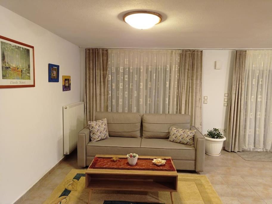 Appartamento Trikala Alex House Esterno foto