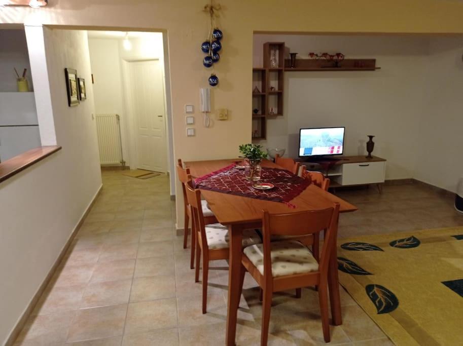 Appartamento Trikala Alex House Esterno foto